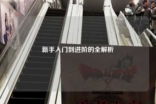 新手入门到进阶的全解析