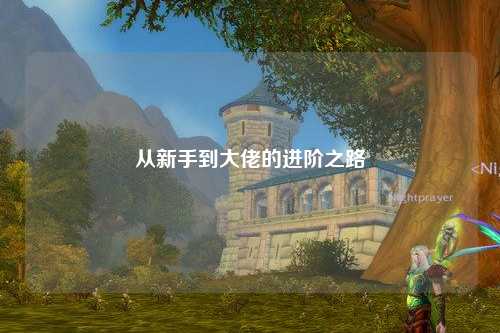 从新手到大佬的进阶之路