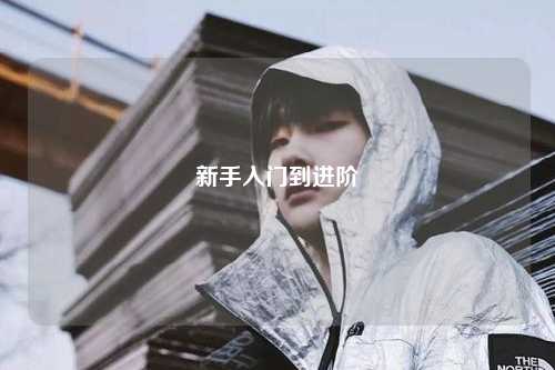 新手入门到进阶