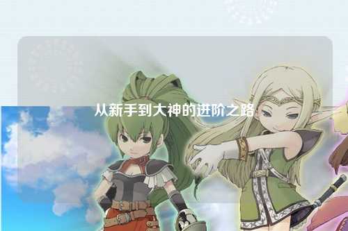 从新手到大神的进阶之路