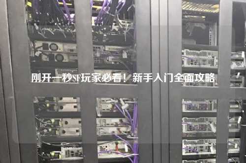刚开一秒SF玩家必看！新手入门全面攻略