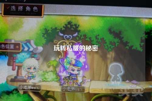 玩转私服的秘密
