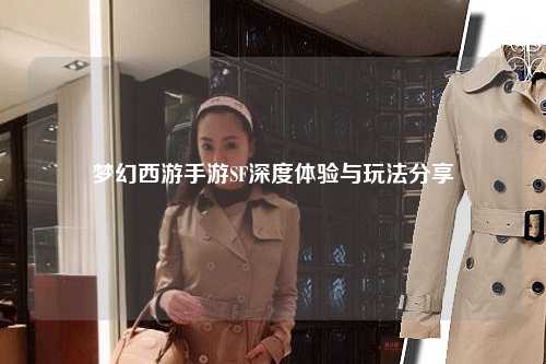 梦幻西游手游SF深度体验与玩法分享