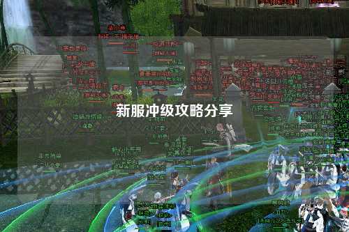 新服冲级攻略分享