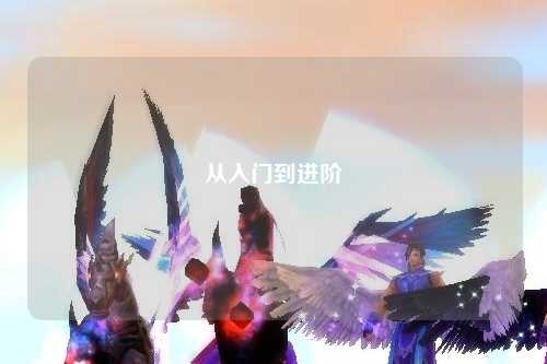 从入门到进阶