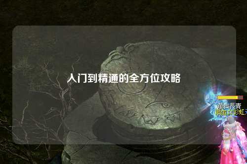 入门到精通的全方位攻略