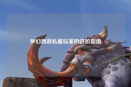 梦幻西游私服玩家的进阶指南