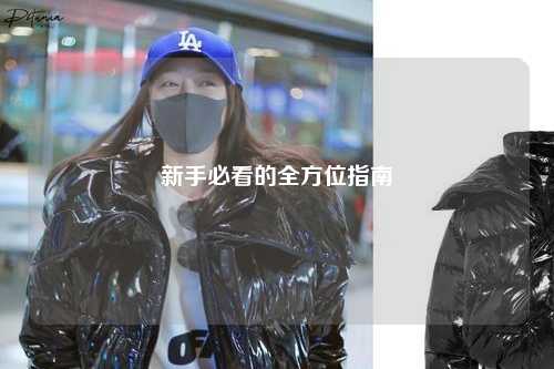 新手必看的全方位指南