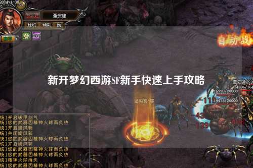 新开梦幻西游SF新手快速上手攻略