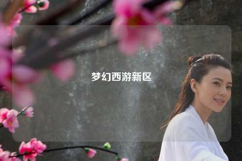 梦幻西游新区