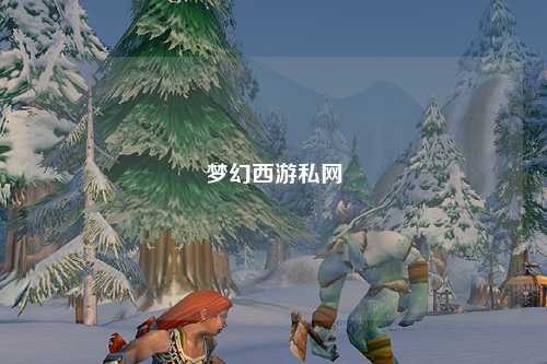 梦幻西游私网