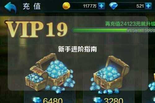 新手进阶指南