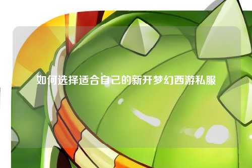 如何选择适合自己的新开梦幻西游私服