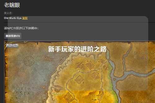 新手玩家的进阶之路