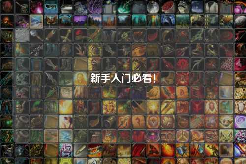 新手入门必看！