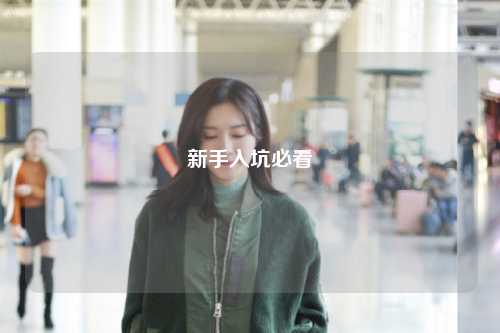 新手入坑必看