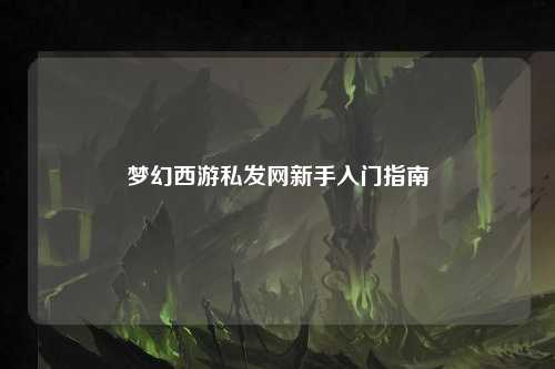 梦幻西游私发网新手入门指南