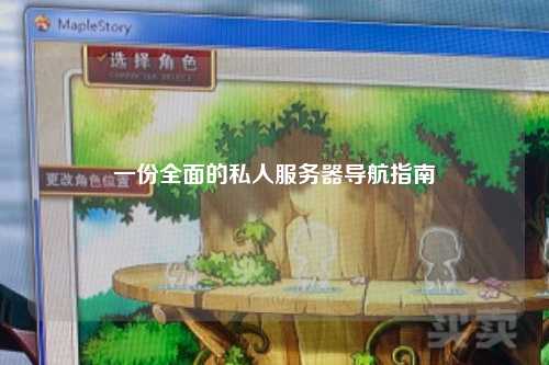 一份全面的私人服务器导航指南