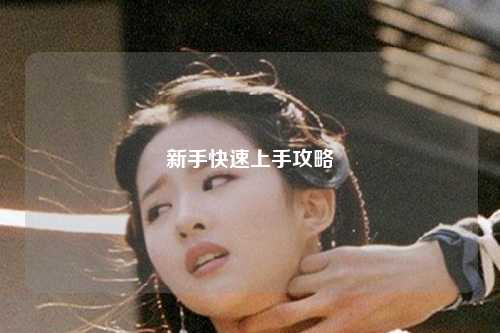 新手快速上手攻略