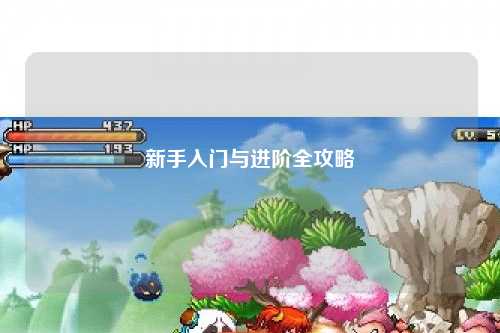 新手入门与进阶全攻略