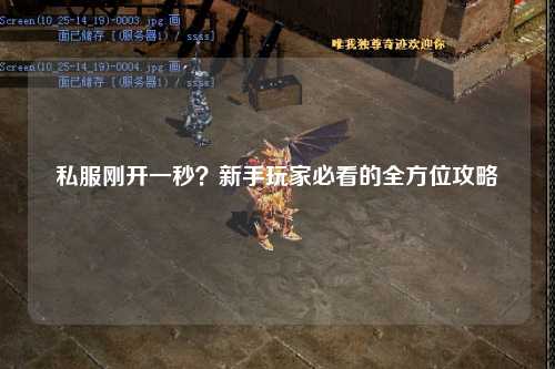 私服刚开一秒？新手玩家必看的全方位攻略