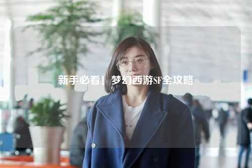 新手必看！梦幻西游SF全攻略
