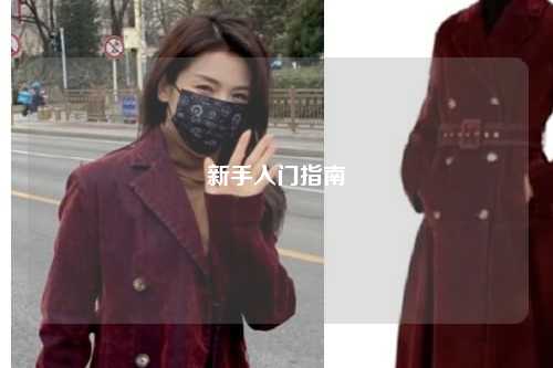 新手入门指南