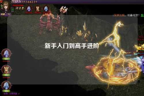 新手入门到高手进阶