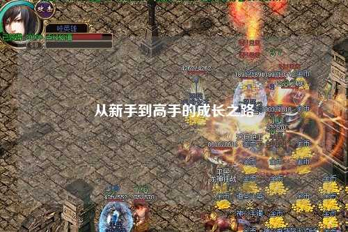 从新手到高手的成长之路