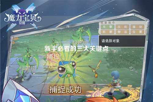 新手必看的三大关键点