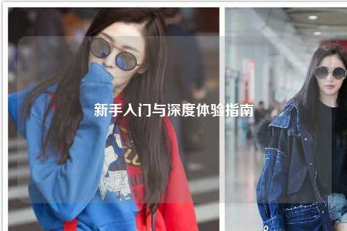 新手入门与深度体验指南