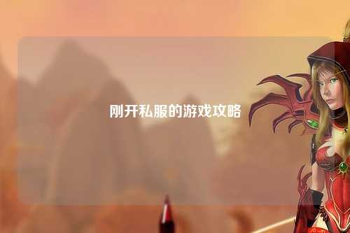刚开私服的游戏攻略