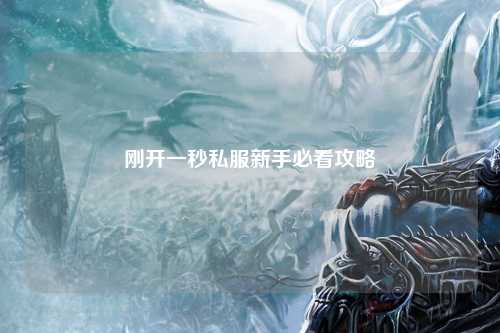 刚开一秒私服新手必看攻略