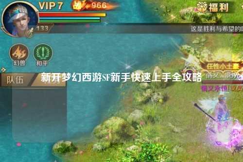 新开梦幻西游SF新手快速上手全攻略