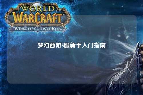 梦幻西游S服新手入门指南