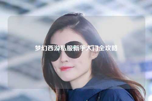 梦幻西游私服新手入门全攻略
