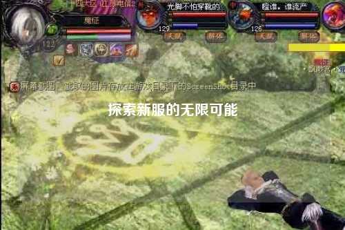 探索新服的无限可能