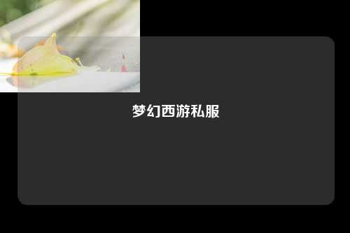梦幻西游私服