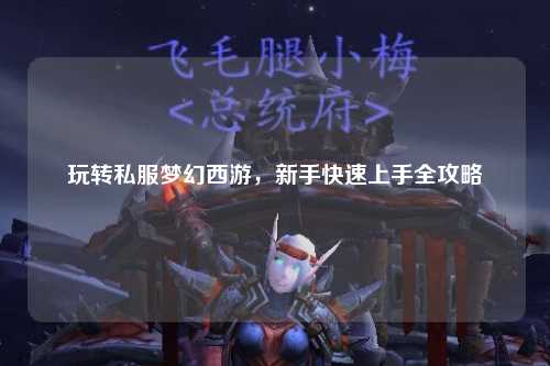 玩转私服梦幻西游，新手快速上手全攻略