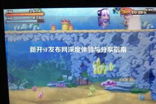 新开SF发布网深度体验与分享指南
