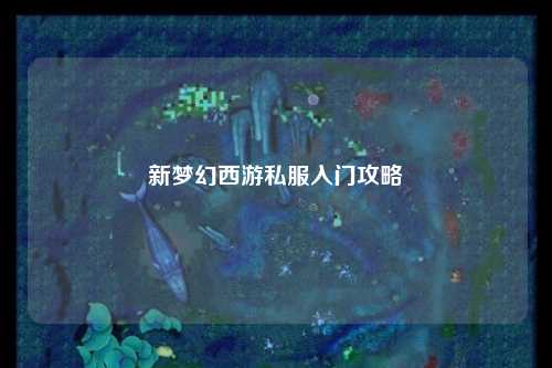新梦幻西游私服入门攻略