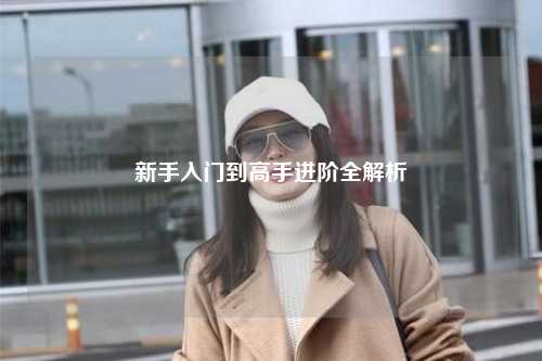 新手入门到高手进阶全解析