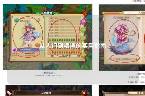 从入门到精通的实用指南