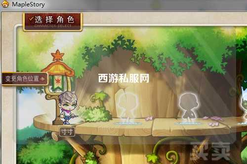 西游私服网