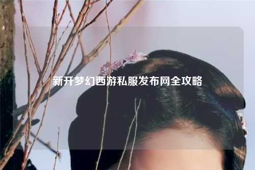 新开梦幻西游私服发布网全攻略