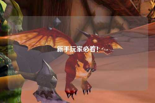 新手玩家必看！