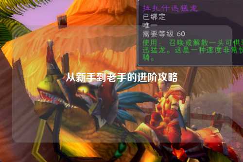 从新手到老手的进阶攻略