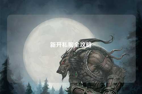新开私服全攻略