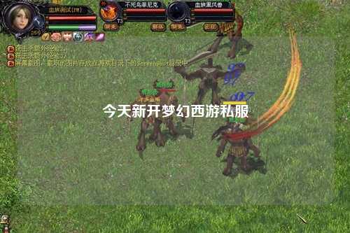 今天新开梦幻西游私服