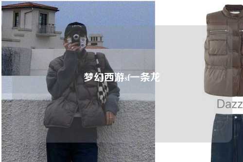 梦幻西游sf一条龙